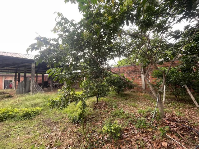 Terreno en Venta Ciudadela Brisas de Santay /duran Alemo, Guayas — imagen 5