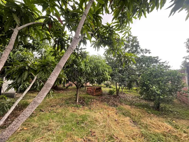 Terreno en Venta Ciudadela Brisas de Santay /duran Alemo, Guayas — imagen 3