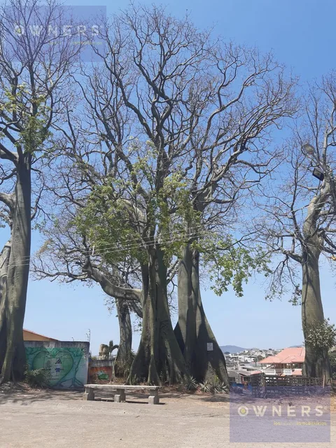 Venta Terreno Samanes 1 Frente Al Bosque Seco Tropical (Db), Guayas — imagen 4