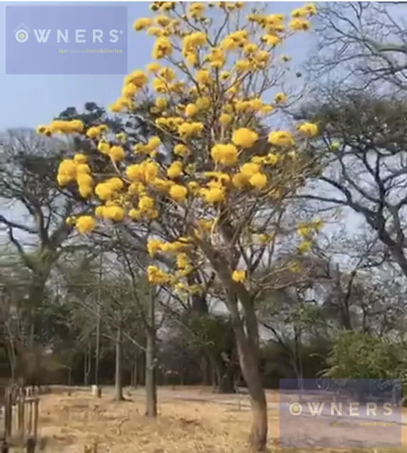Venta Terreno Samanes 1 Frente Al Bosque Seco Tropical (Db), Guayas — imagen 2