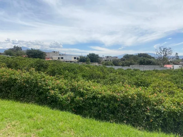 Vendo Lote en Puembo en Urbanizacion Ecoeficiente, Precio de Oportunidad — imagen 2