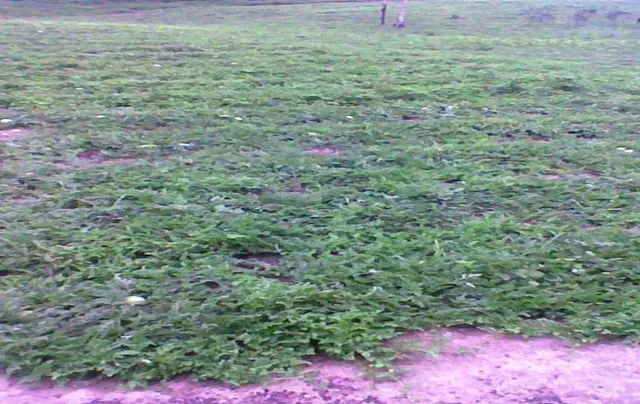 Terreno de Venta en Manta El Aromo, Manabí — imagen 2