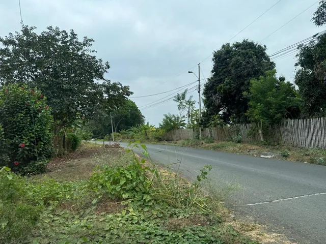 Finca de Venta Via Portoviejo Santa Ana F/a, Manabí — imagen 4