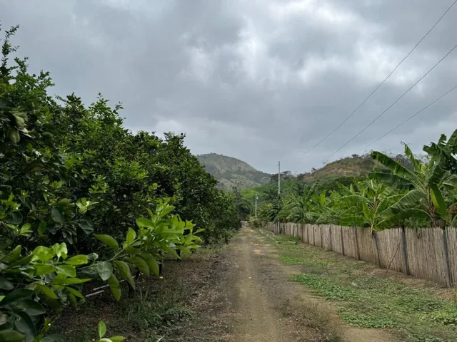 Finca de Venta Via Portoviejo Santa Ana F/a, Manabí — imagen 3