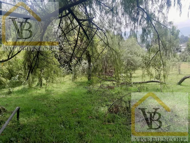 Terreno en Venta en El Valle de Los Chillos 4500 m. Provincia de Pichincha — imagen 5