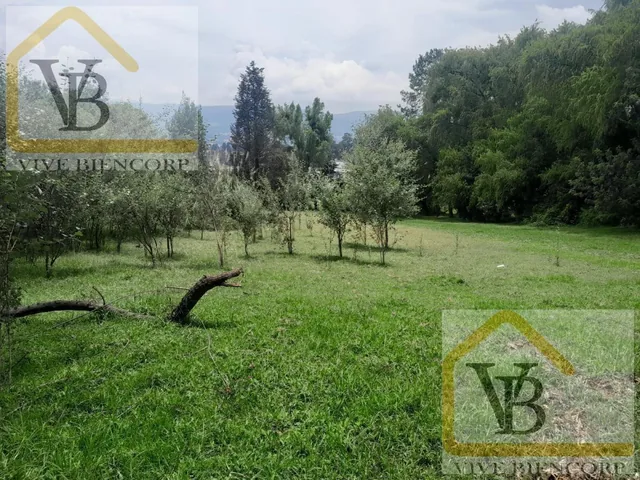 Terreno en Venta en El Valle de Los Chillos 4500 m. Provincia de Pichincha — imagen 2