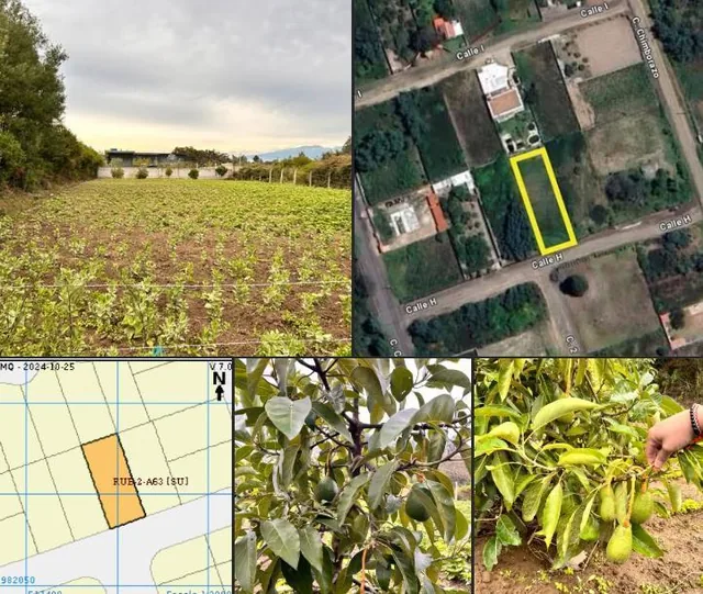 Venta Terreno 1.000 m² en Tababela – Ideal Casa o Quinta – Escritura — imagen 5