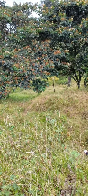 Terreno en Venta – Puente 5, Autopista General Rumiñahui — imagen 4