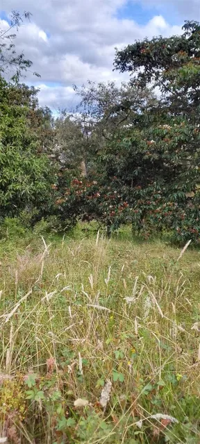 Terreno en Venta – Puente 5, Autopista General Rumiñahui — imagen 2