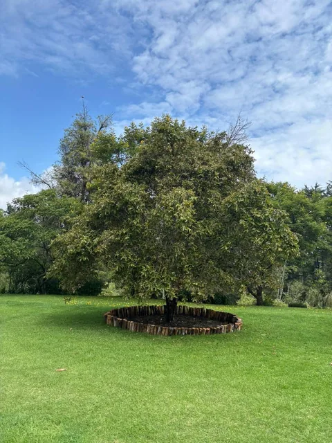 Terreno con 2 Casas de Venta en Yaruqui — imagen 2