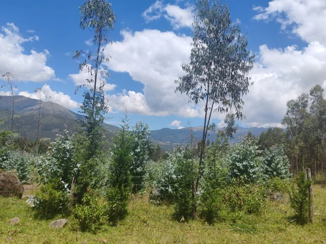 Terreno Esquinero de Venta Otavalo, Parroquia San Pablo, Imbabura — imagen 3