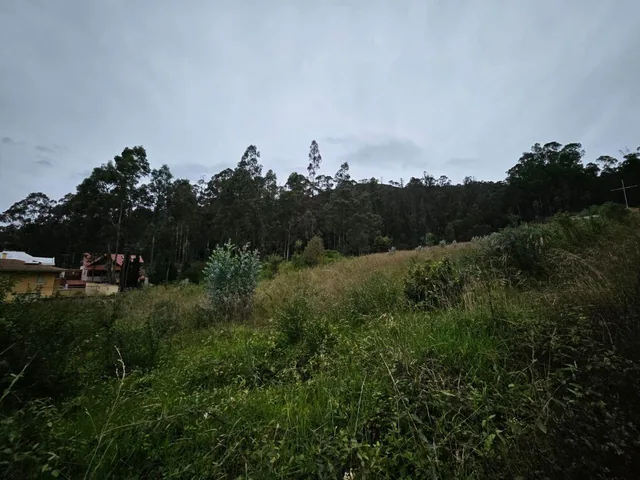 Terreno en Urbanizacion - Mariscal Sucre - Occidental — imagen 4
