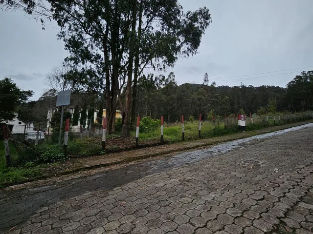 Terreno en Urbanizacion - Mariscal Sucre - Occidental — imagen 3