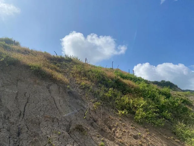 Terreno de Venta en Manta Zona Rural Santa Rosa, Manabí — imagen 3