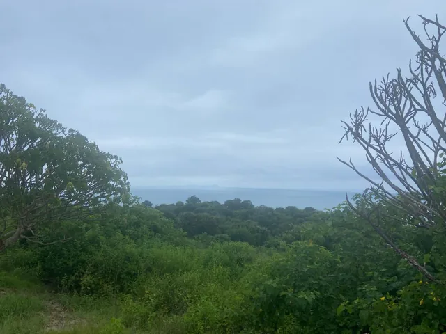 Remate Terreno Venta Manabi, Manabí — imagen 2