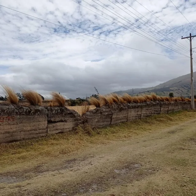 Terreno 1527 m² Esquinero Sector Olmedo, Cayambe — imagen 5