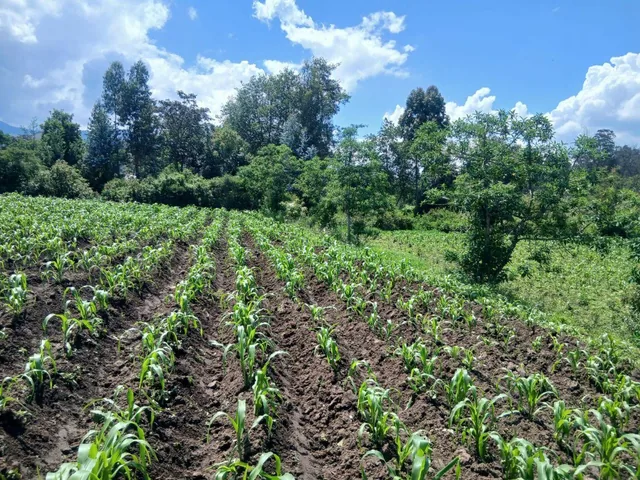Terreno en Venta Valle de Los Chillos, Sangolqui, Via Amaguaña — imagen 3