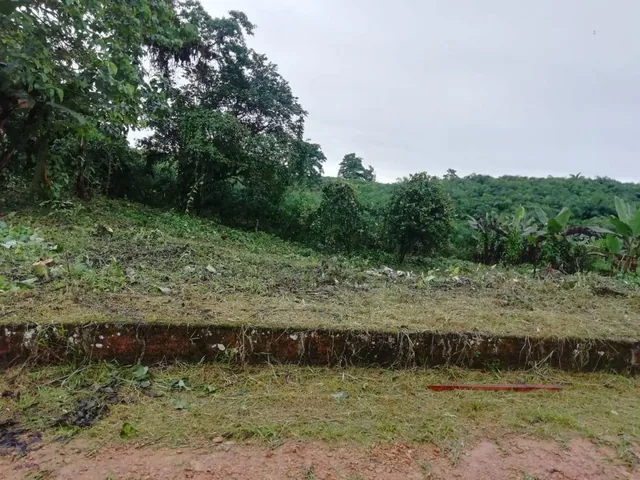 Terreno en Urbanización de 970 m² en Pedro Vicente Maldonado a 2 Horas de Quito — imagen 5