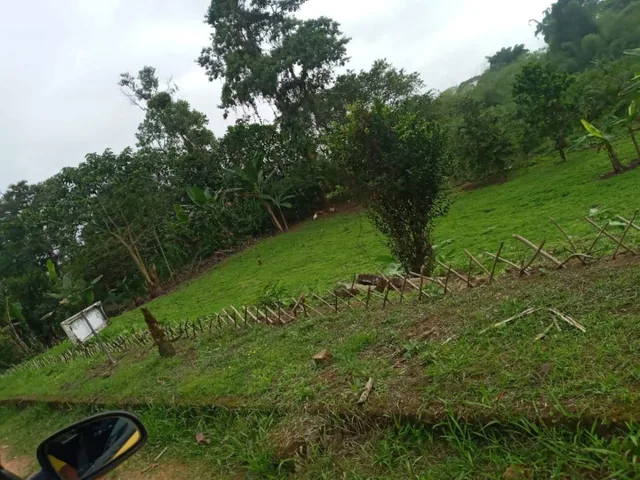 Terreno en Urbanización de 970 m² en Pedro Vicente Maldonado a 2 Horas de Quito — imagen 4