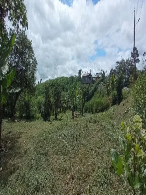 Terreno en Urbanización de 970 m² en Pedro Vicente Maldonado a 2 Horas de Quito — imagen 3
