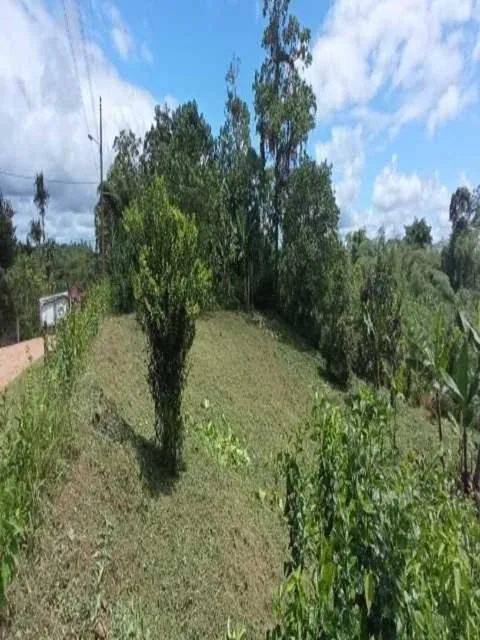 Terreno en Urbanización de 970 m² en Pedro Vicente Maldonado a 2 Horas de Quito — imagen 2