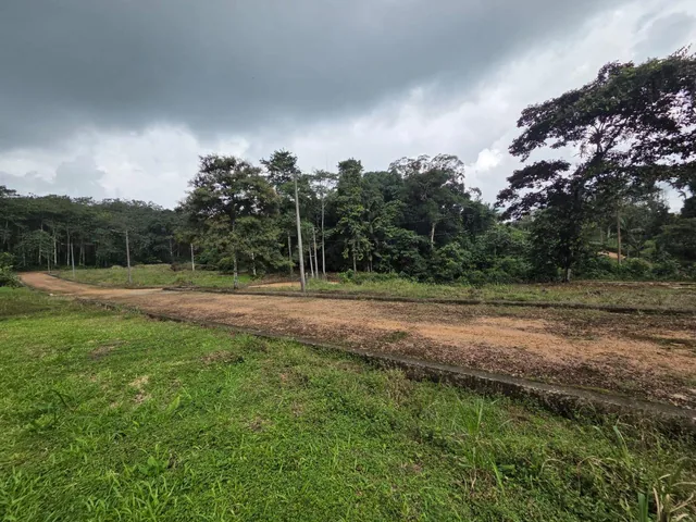 Venta 6 Lotes de Terreno Urb. Las Bromelias — imagen 5