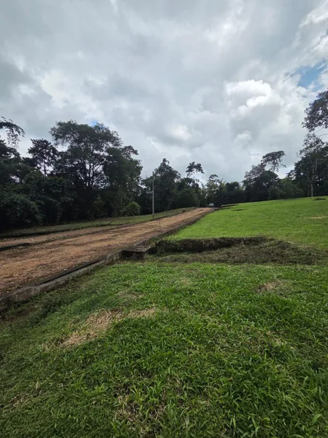 Venta 6 Lotes de Terreno Urb. Las Bromelias — imagen 3