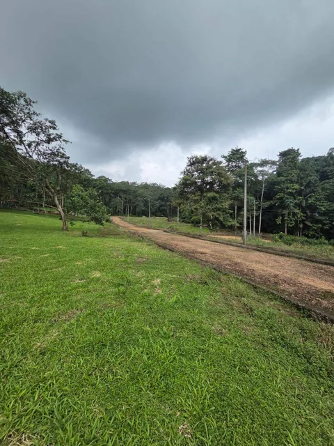 Venta 6 Lotes de Terreno Urb. Las Bromelias — imagen 2