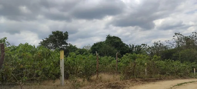 Terreno en Venta en Mamey Bajada Chanduy, Santa Elena, Chrc, Guayas — imagen 3