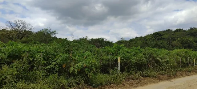 Terreno en Venta en Mamey Bajada Chanduy, Santa Elena, Chrc, Guayas — imagen 2