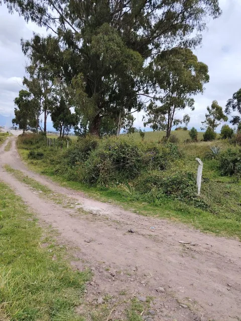 De Venta 6 Hectáreas de Terreno en Chaltura, Imbabura — imagen 4