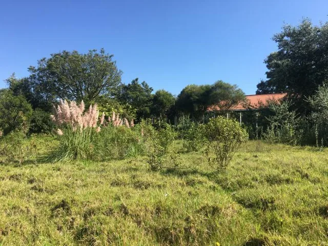 Terreno con Iprus en Venta, Sector Ricaurte, Azuay — imagen 2