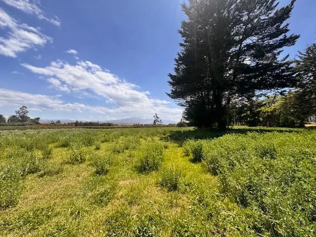 Vendo 3 Lotes en Checa — imagen 2