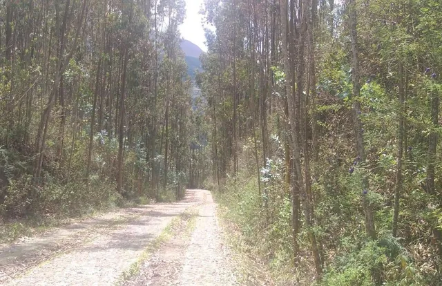 Vendo Terrenos en El Lago San Pablo, Imbabura — imagen 3