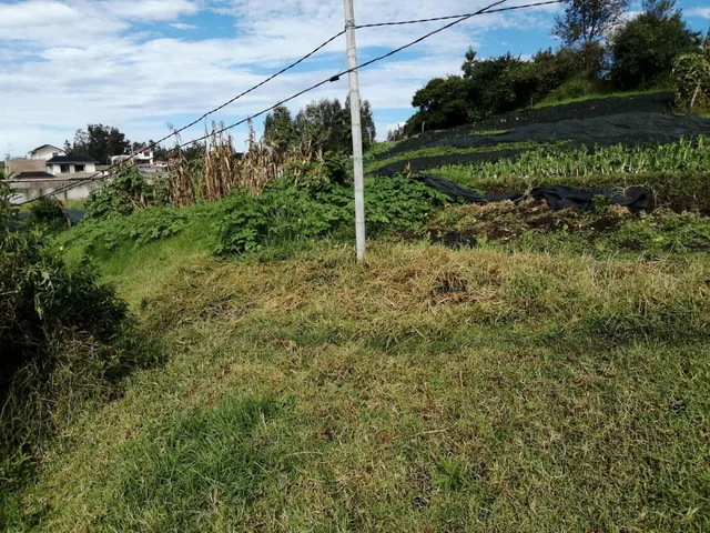 Terreno en Venta en La Merced. Valle de Los Chillos. 1684 m — imagen 4