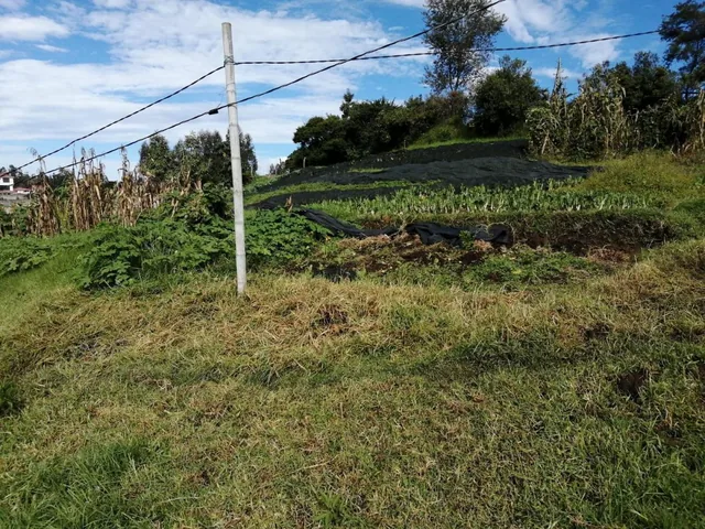 Terreno en Venta en La Merced. Valle de Los Chillos. 1684 m — imagen 3