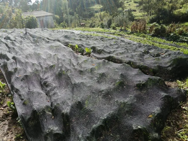 Terreno en Venta en La Merced. Valle de Los Chillos. 1684 m — imagen 2