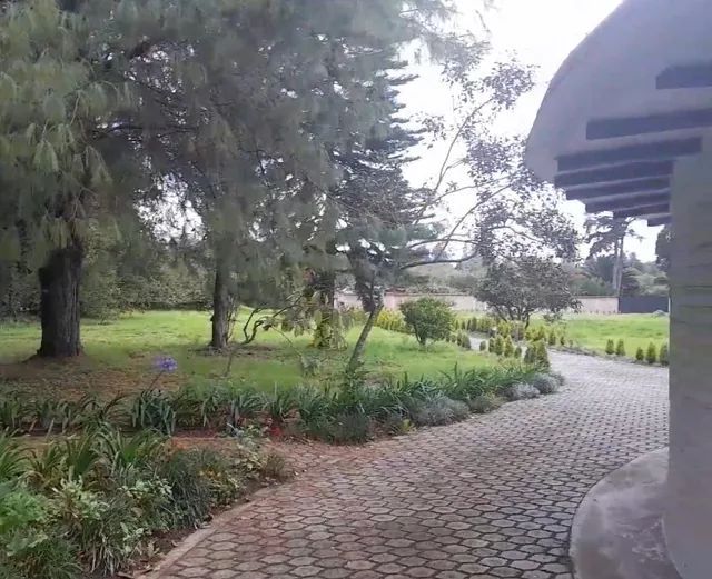 Venta Quinta de 6.600 m² en Puembo | Alta Plusvalía | Casa Habitable | Inversión o Vida Familiar — imagen 4