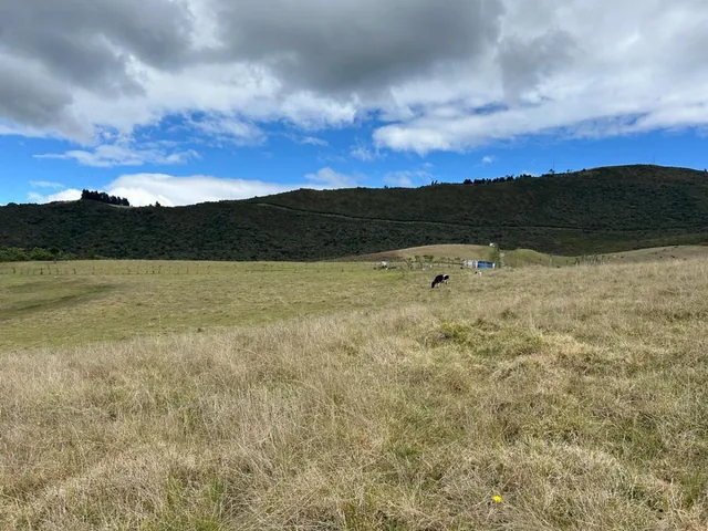 30 Hectáreas en Venta en Tenerias Catzuqui de Velazco — imagen 2