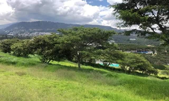 Cumbaya Terreno de Venta en Urbanizacion Exclusiva Linda Vista — imagen 4