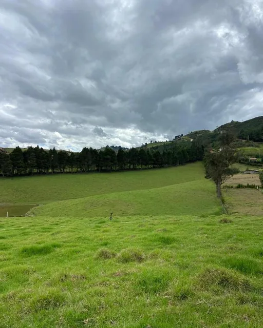 Hermoso Terreno en Venta, Sector Zhucay, Azuay — imagen 4