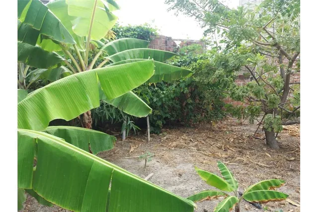 Terreno de Venta en Manta Zona Norte Manabi, Manabí — imagen 5