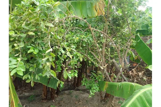 Terreno de Venta en Manta Zona Norte Manabi, Manabí — imagen 4