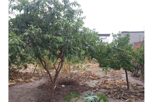 Terreno de Venta en Manta Zona Norte Manabi, Manabí — imagen 2