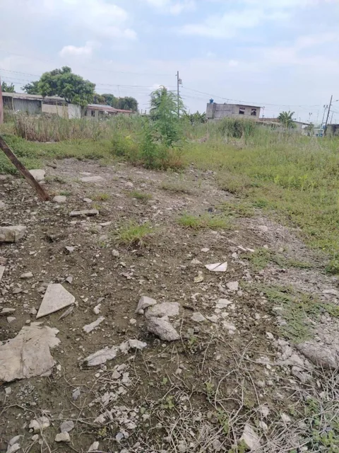 Terreno en Venta en Recreo, Norte de Durán Tato, Guayas — imagen 3