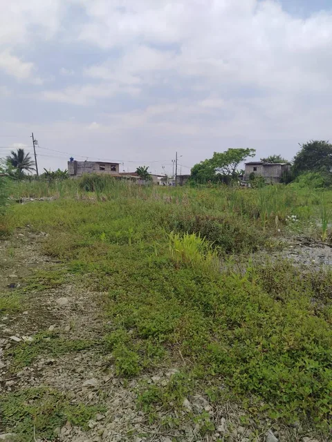 Terreno en Venta en Recreo, Norte de Durán Tato, Guayas — imagen 2