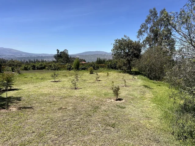 Terreno de Venta en Checa Urbanización de Lujo — imagen 5