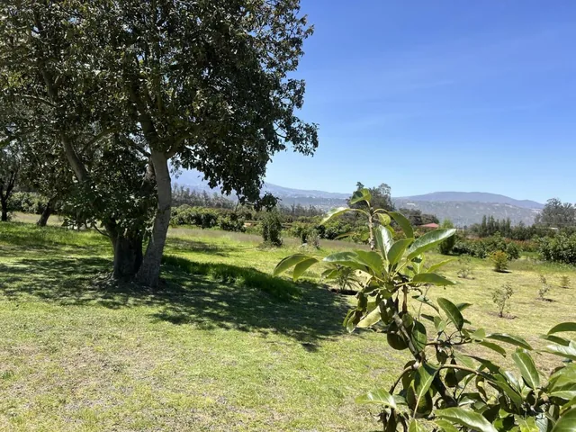 Terreno de Venta en Checa Urbanización de Lujo — imagen 2
