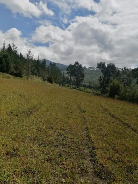 Vendo Para Caballos m² en un Sector Privilegiado en Tabacundo — imagen 3