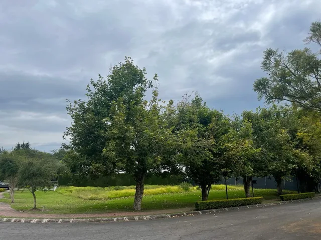 En Puembo, en Venta Terreno 1200 m² Lado A, Club Privado Arrayanes — imagen 4